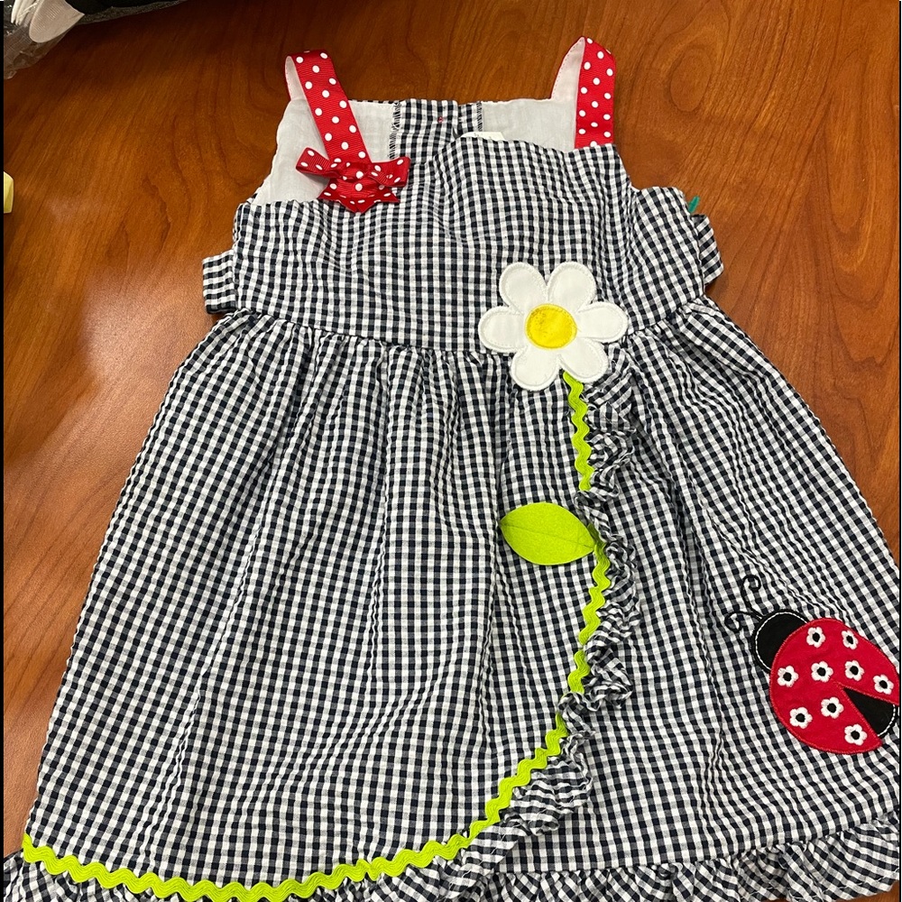 Rare edition ladybug dress